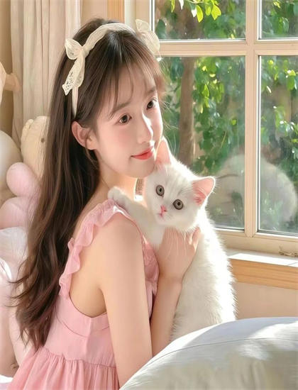 《继承解说》与当代文化：细节的精心设计与隐藏寓意 探索文化表达的多种形式